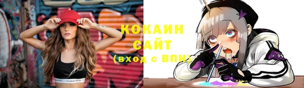 СК Осинники
