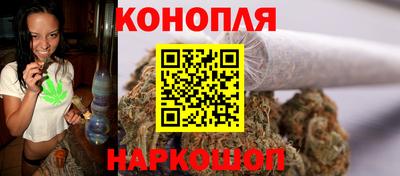 мяу мяу мука Гатчина