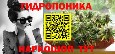 мяу мяу мука Гатчина