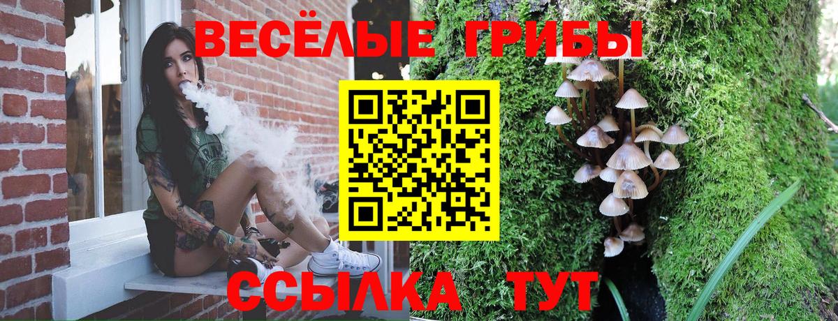 Галлюциногенные грибы прущие грибы  Галлюциногенные грибы ЛСД  Зеленокумск  Вход с VPN 