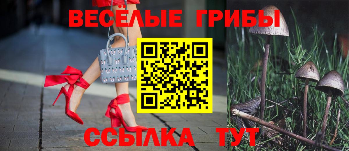 Зеленокумск  LSD-25  Cocaine  ГАШ  APVP СК кристаллы  Мефедрон   Марихуана  Экстази  Вход с VPN  Вейп ТГК 
